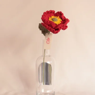 Amapola