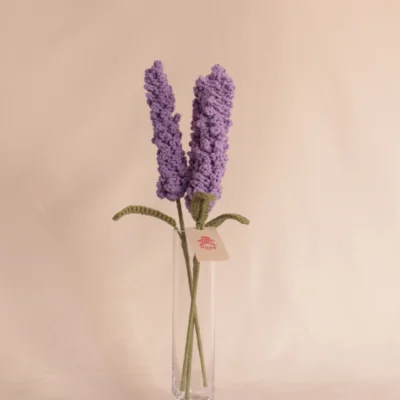 Lavanda