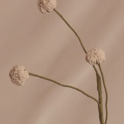 Brotes - Crudos