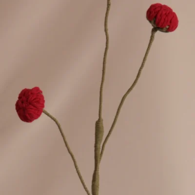 Brotes - Rojos