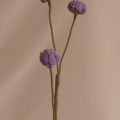 Brotes - Morados
