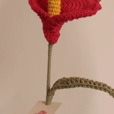 Cartucho - Rojo