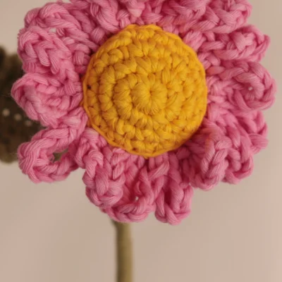 Margarita - Rosa